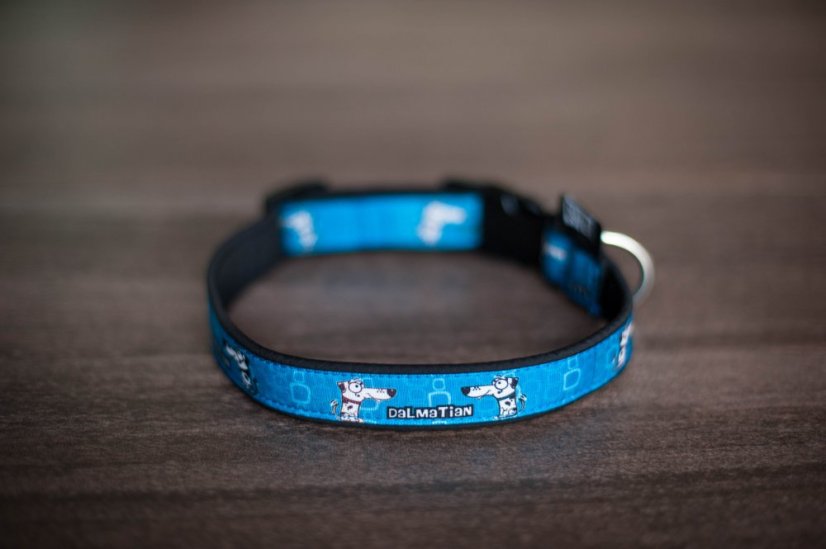 COLLAR DALMATIN 2,5 cm