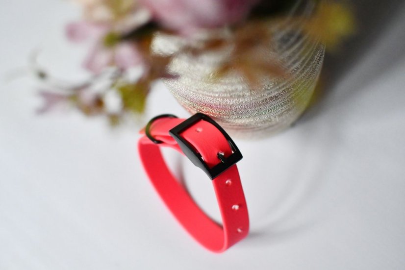 Collar aqua with buckle