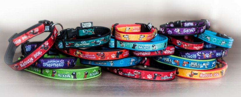 COLLAR WHITE SWISS SHEPHERD 4 cm