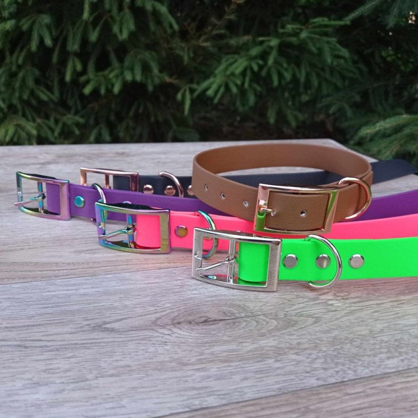 Collar aqua exclusive grafitis buckle