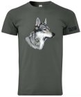 Czechoslovakian Wolfhound