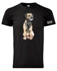 Border Terrier