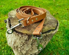 Switching leash aqua exclusive silver karabiner