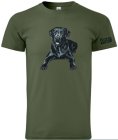 Labrador Retriver