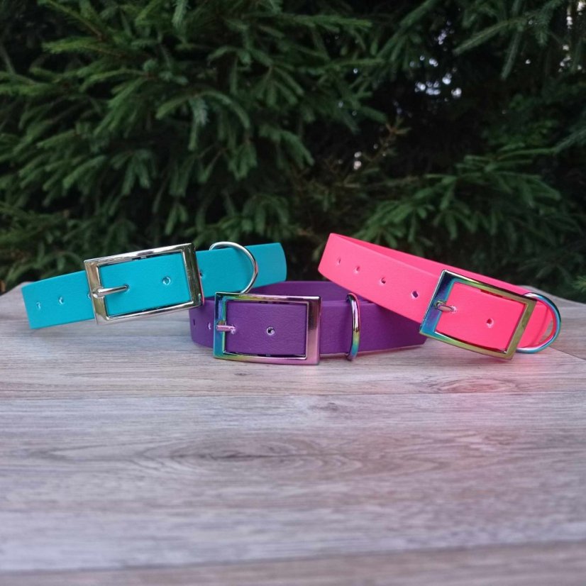 Collar aqua exclusive grafitis buckle