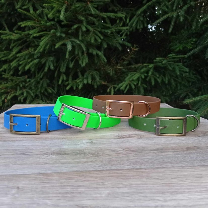 Collar aqua exclusive grafitis buckle