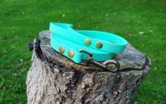 Leash Hexa width 20 mm