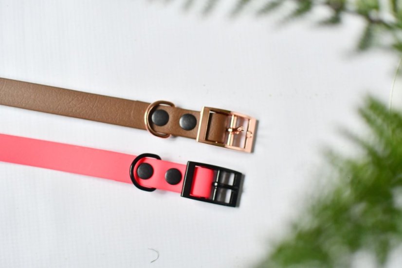 Collar aqua with buckle