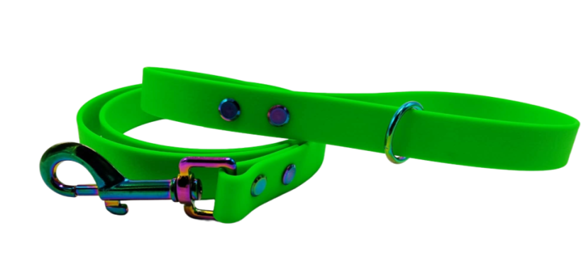 Leash aqua exclusiv rainbow hardware