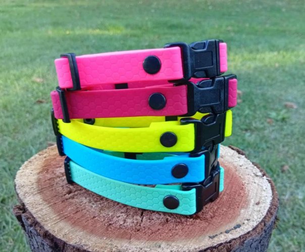 Distinctive collars for puppies width 16 mm