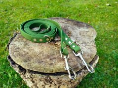 SWITCHING LEASH HEXA EXCLUCIVE SILVER KARABINER