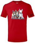 Bull Terrier