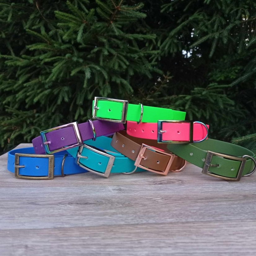 Collar aqua exclusive grafitis buckle