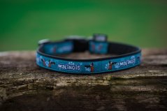 COLLAR MALINOIS 2,5 cm