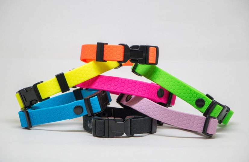 Distinctive collars for puppies width 16 mm