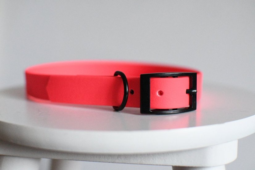 Collar aqua with buckle