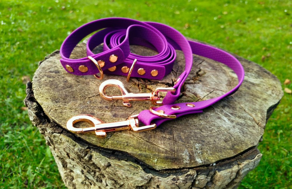 Hexa program - TRIDENT 20 MM - RAINBOW