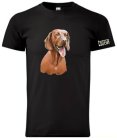 Hungarian hound