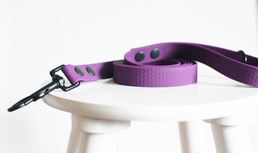 Leash Hexa width 20 mm