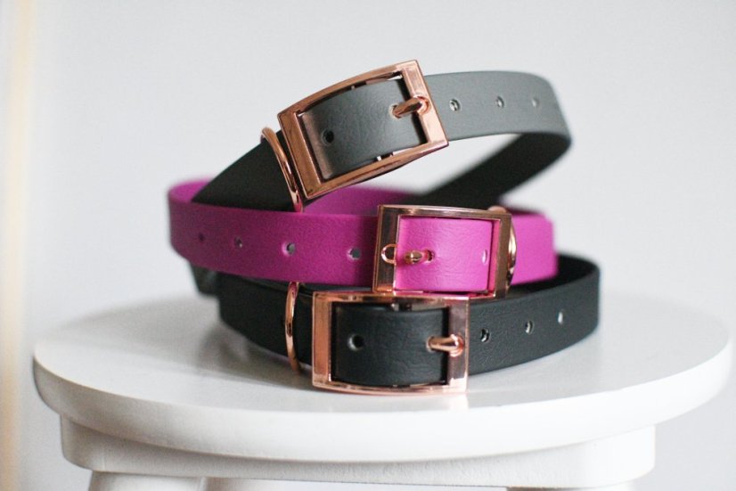 Collar aqua with buckle