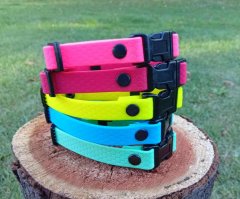 Distinctive collars for puppies width 16 mm