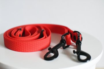 Switching leash