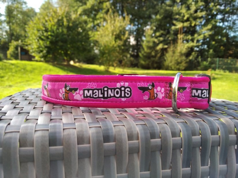 COLLAR MALINOIS 2,5 cm