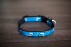 COLLAR DALMATIN 2,5 cm