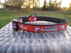 COLLAR WHITE SWISS SHEPHERD 2,5 cm