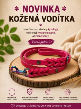 Novinka: kožená vodítka Ritega