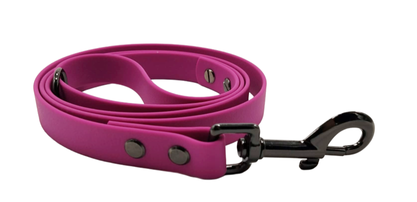 Leash aqua exclusiv graphite hardware