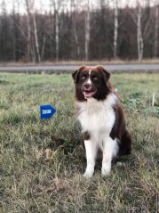 47292056 2212920215427529 76162629290164224 n