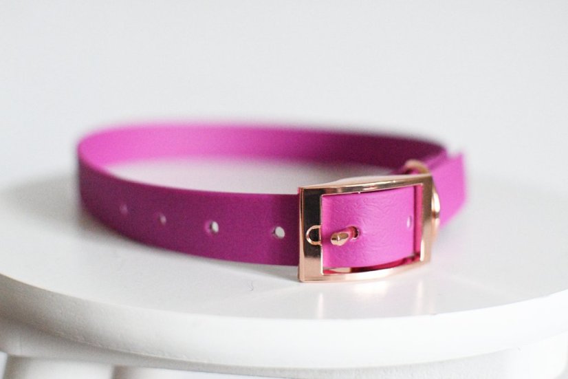 Collar aqua with buckle