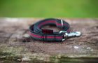 Classic leashes