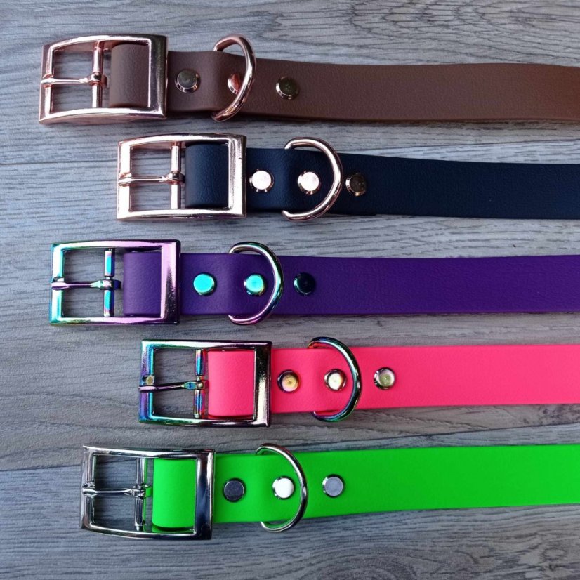 Collar aqua exclusive grafitis buckle