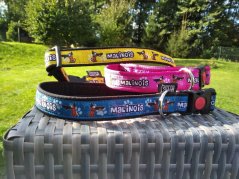 COLLAR MALINOIS 2,5 cm