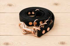Switching leash Aqua