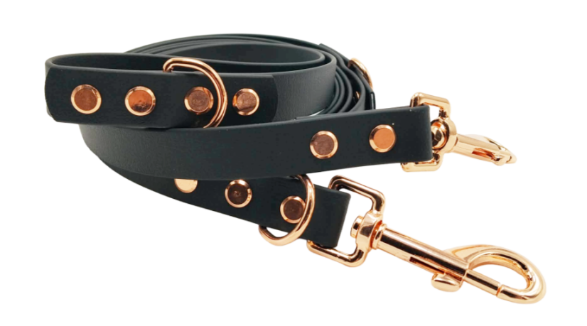 Switching leash aqua exclucive pink hardware