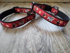 COLLAR CHODSKÝ PES 2,5 cm