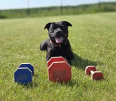 Dřevěná činka pro Obedience