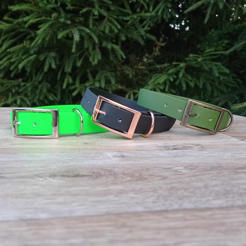 Collar aqua exclusive grafitis buckle