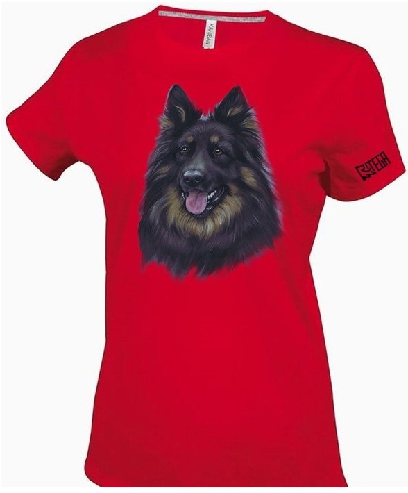 Chodsky-Hund