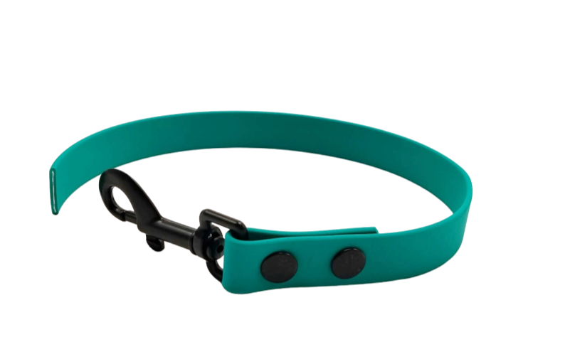 LEASH AQUA "CUKAČKA"