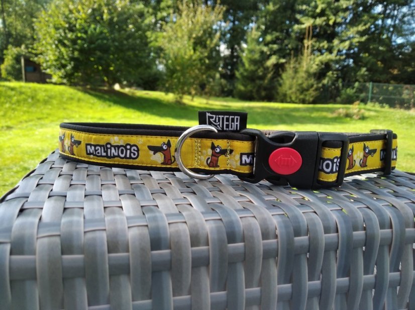 COLLAR MALINOIS 2,5 cm