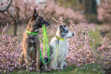 Vodeodolný program - ĎALŠIA ČASŤ DVOJFAREBNÉHO VODÍTKA - ZELENÁ