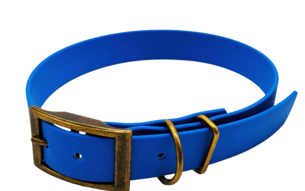 Collar aqua exclusive brass buckle