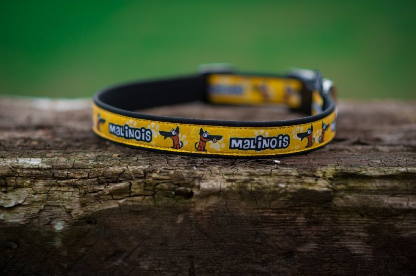 COLLAR MALINOIS 2,5 cm