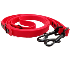 Switching leash Aqua