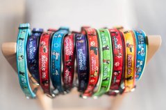 COLLAR CHODSKÝ PES 2,5 cm