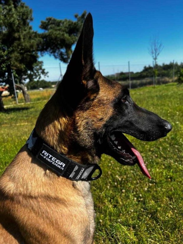 COLLAR DEFENDER